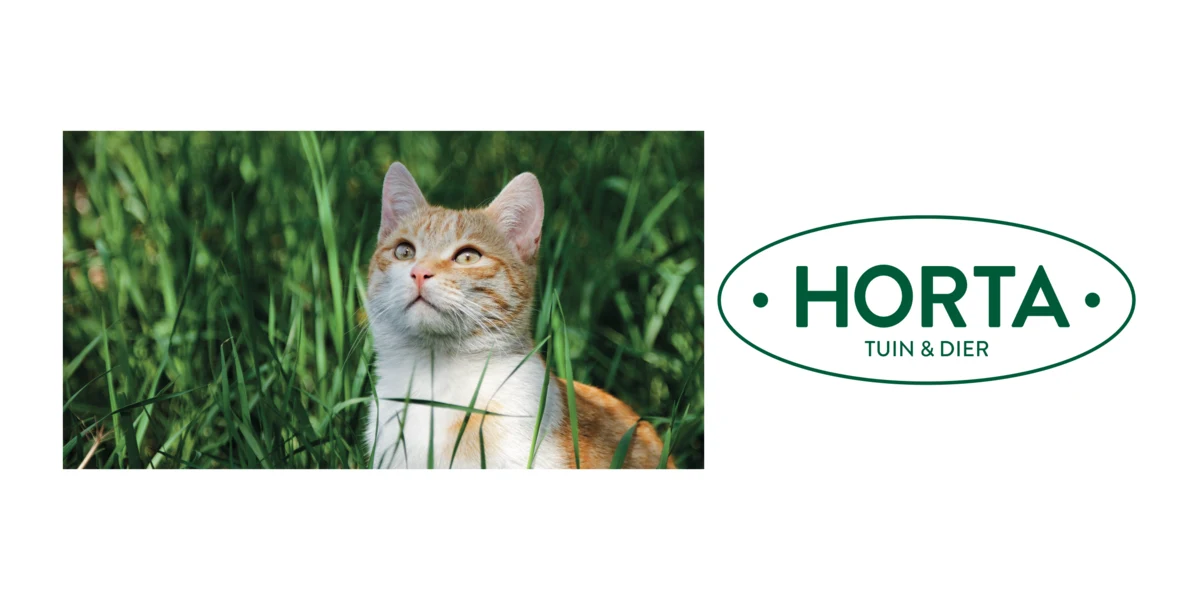 Horta